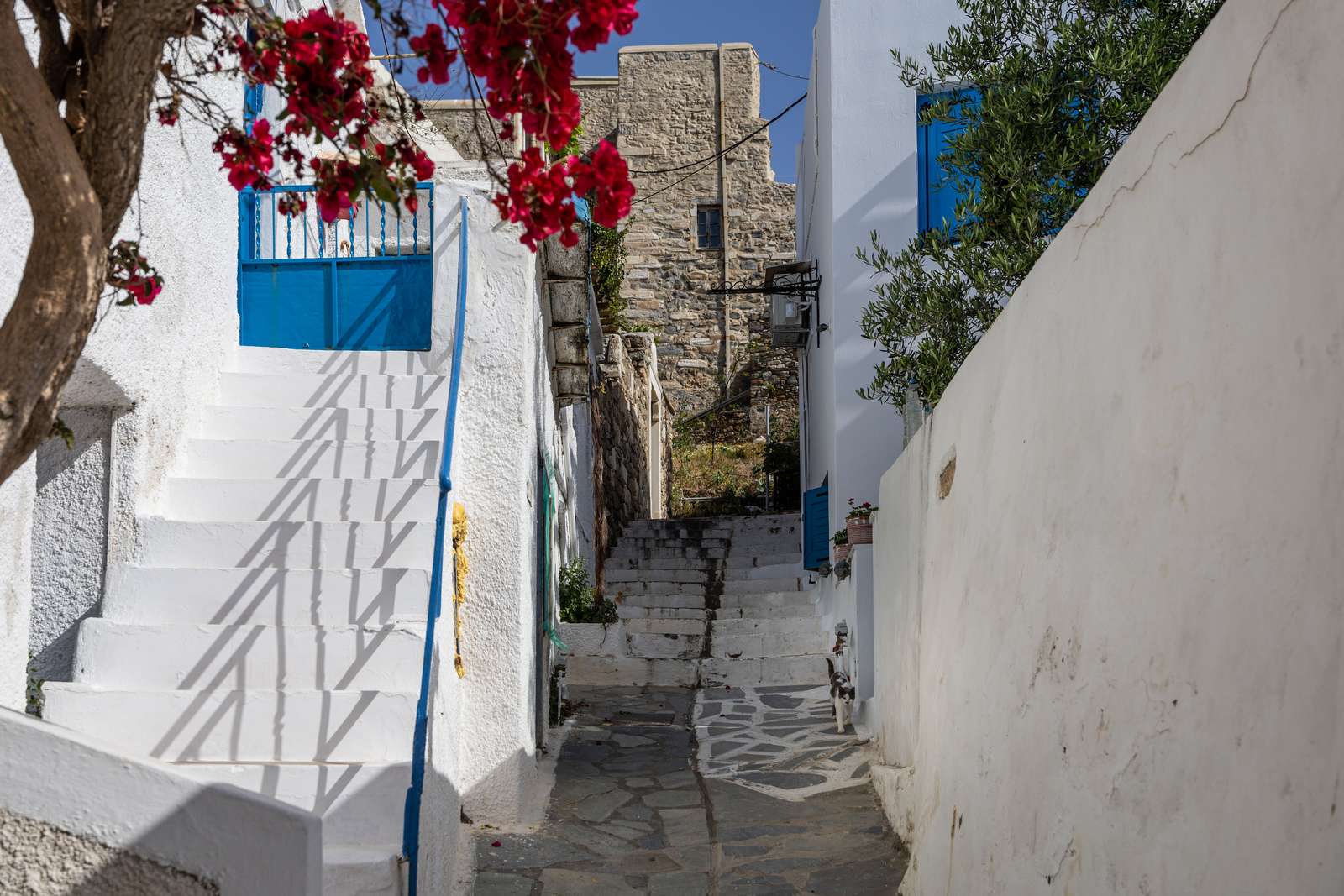 Naxos Town